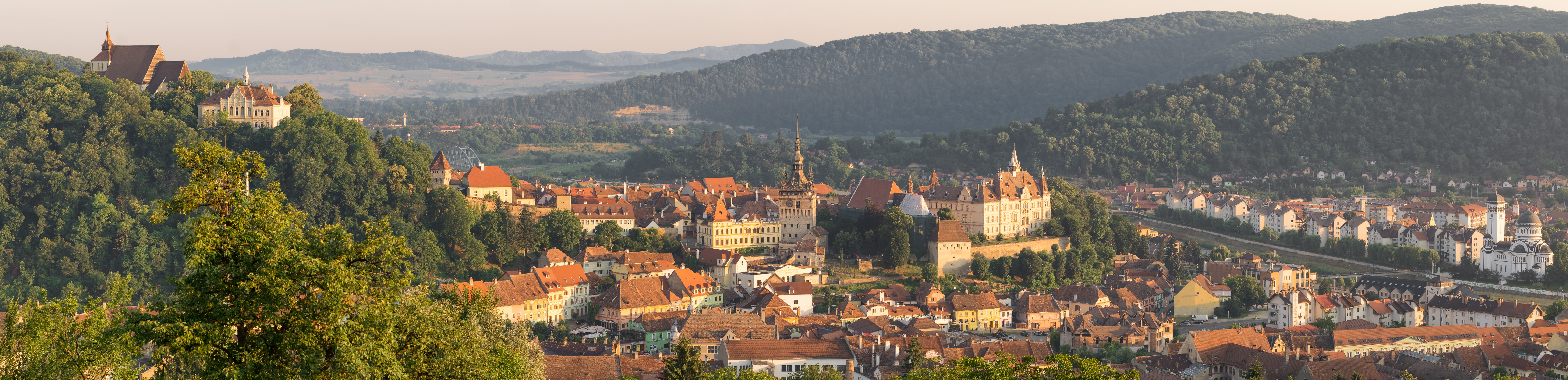 Sighişoara pic