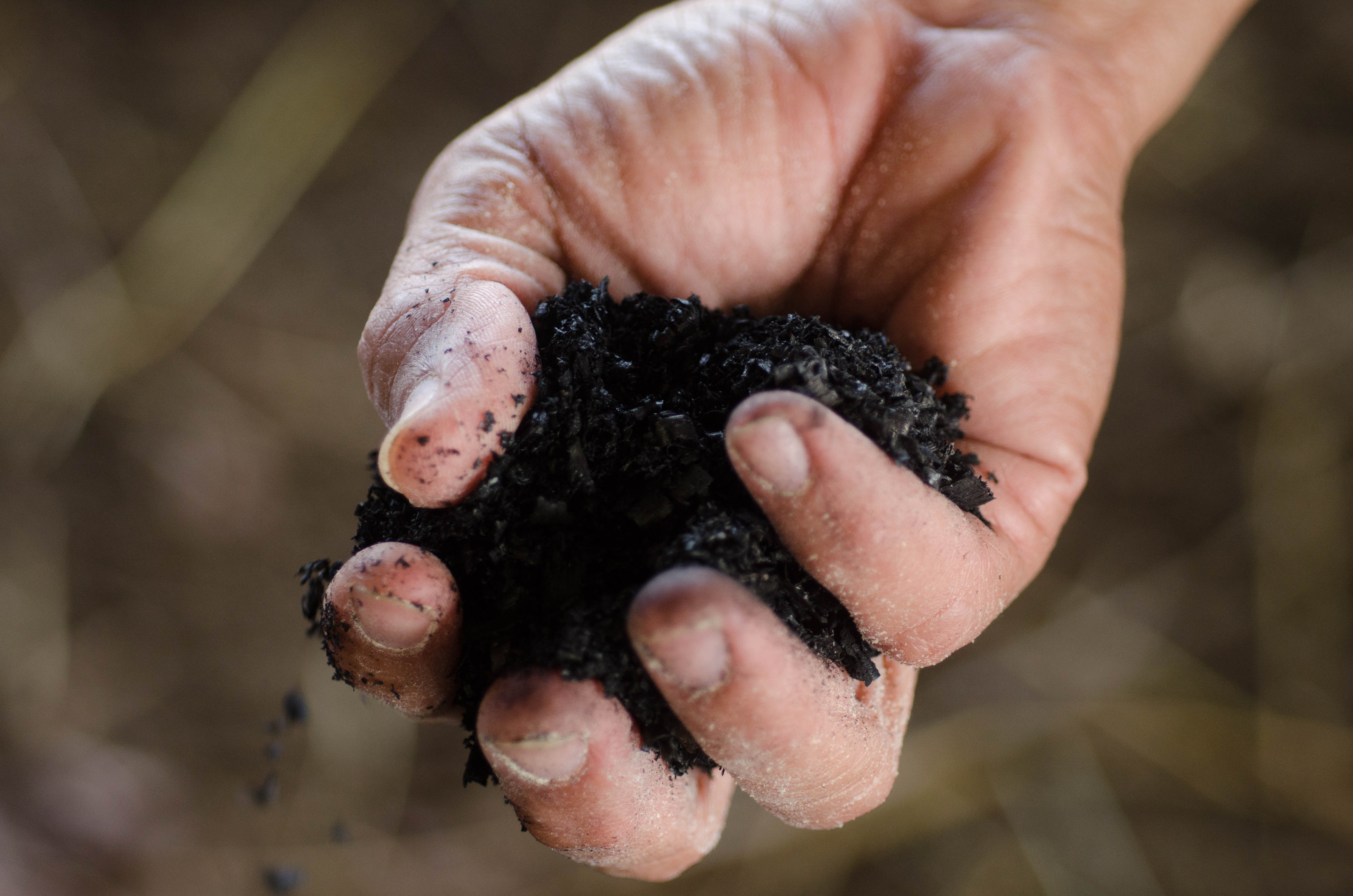 Biochar Hand Close Up