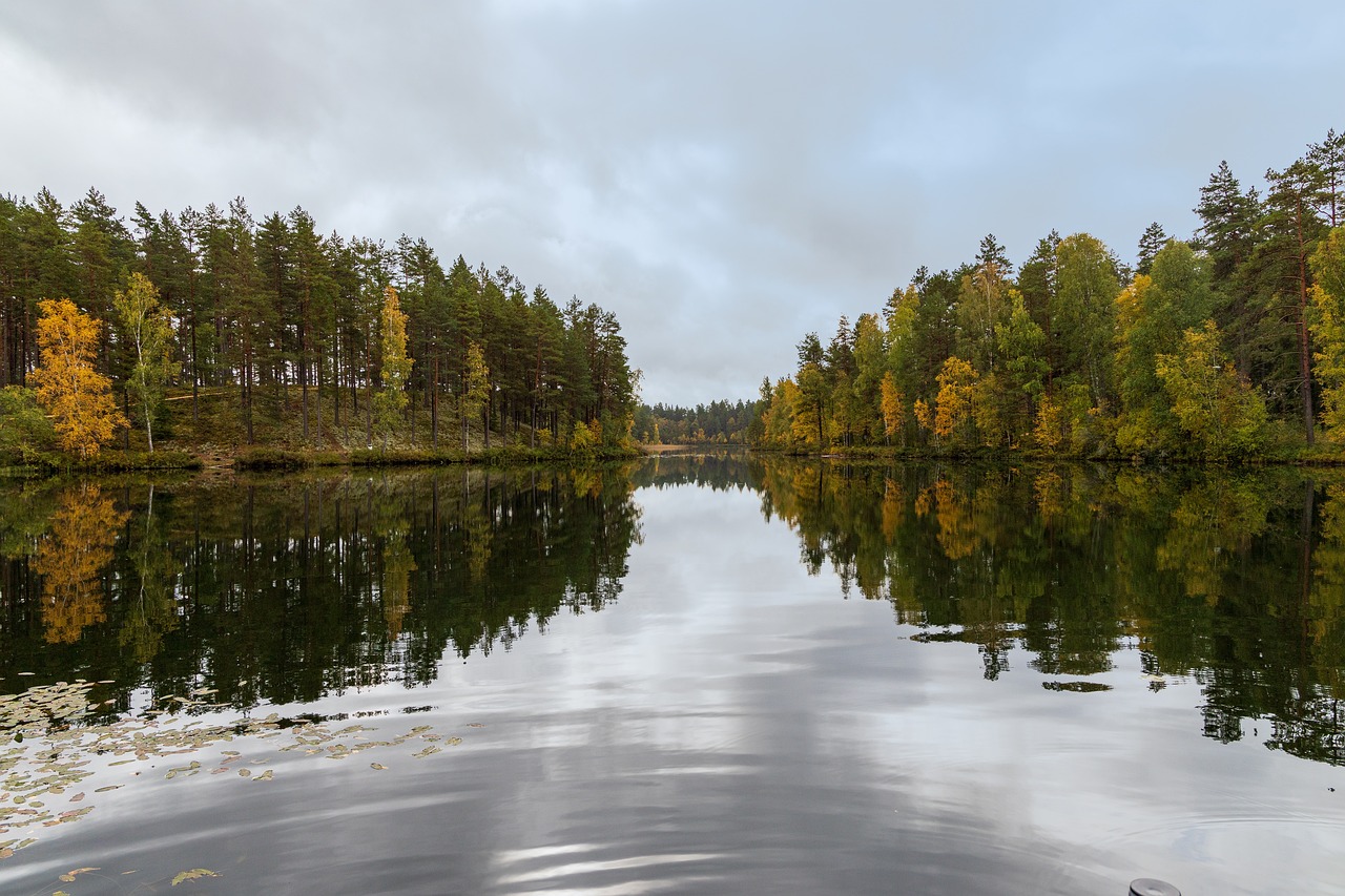 Water and Trees