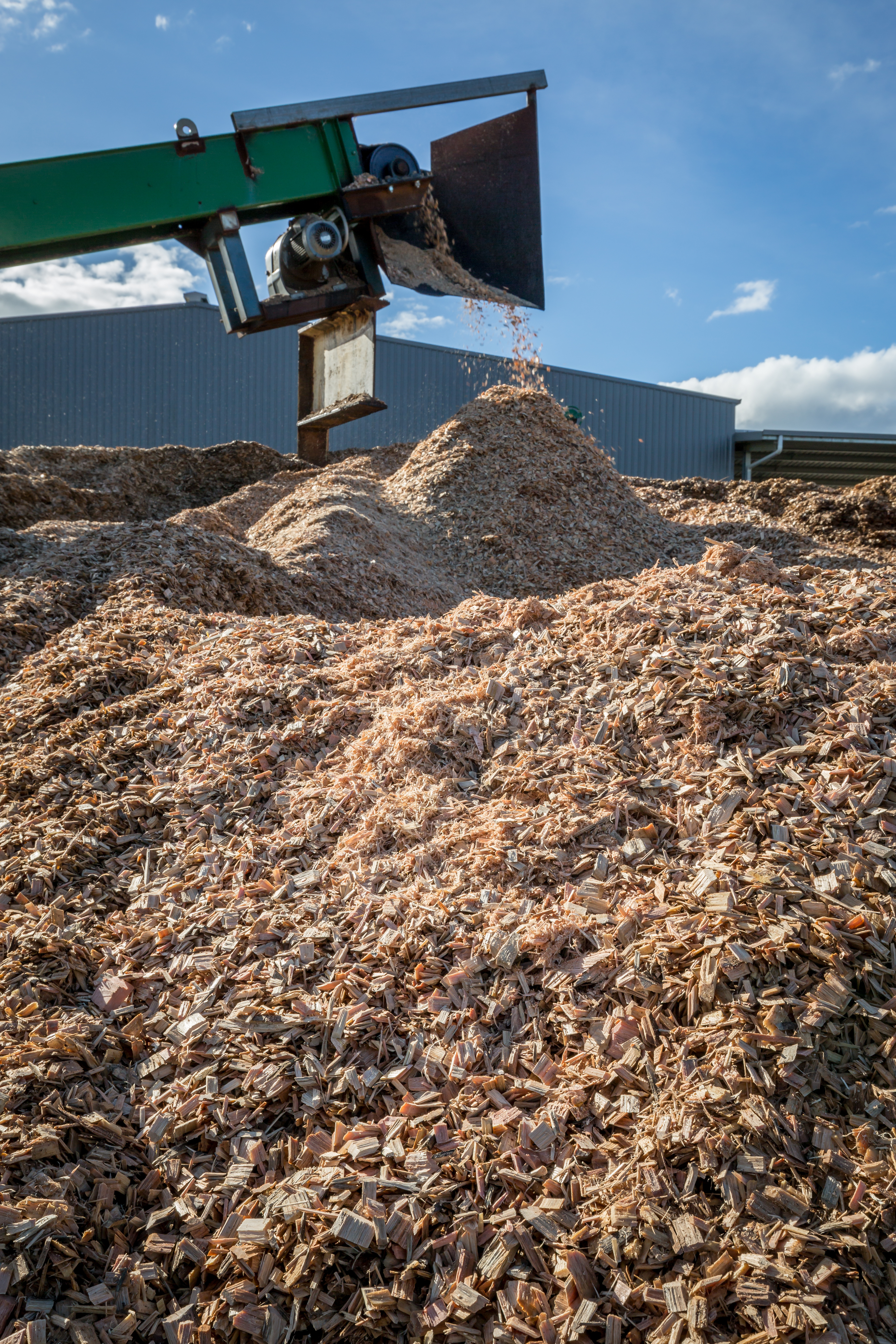 Yarram Sawmill chips
