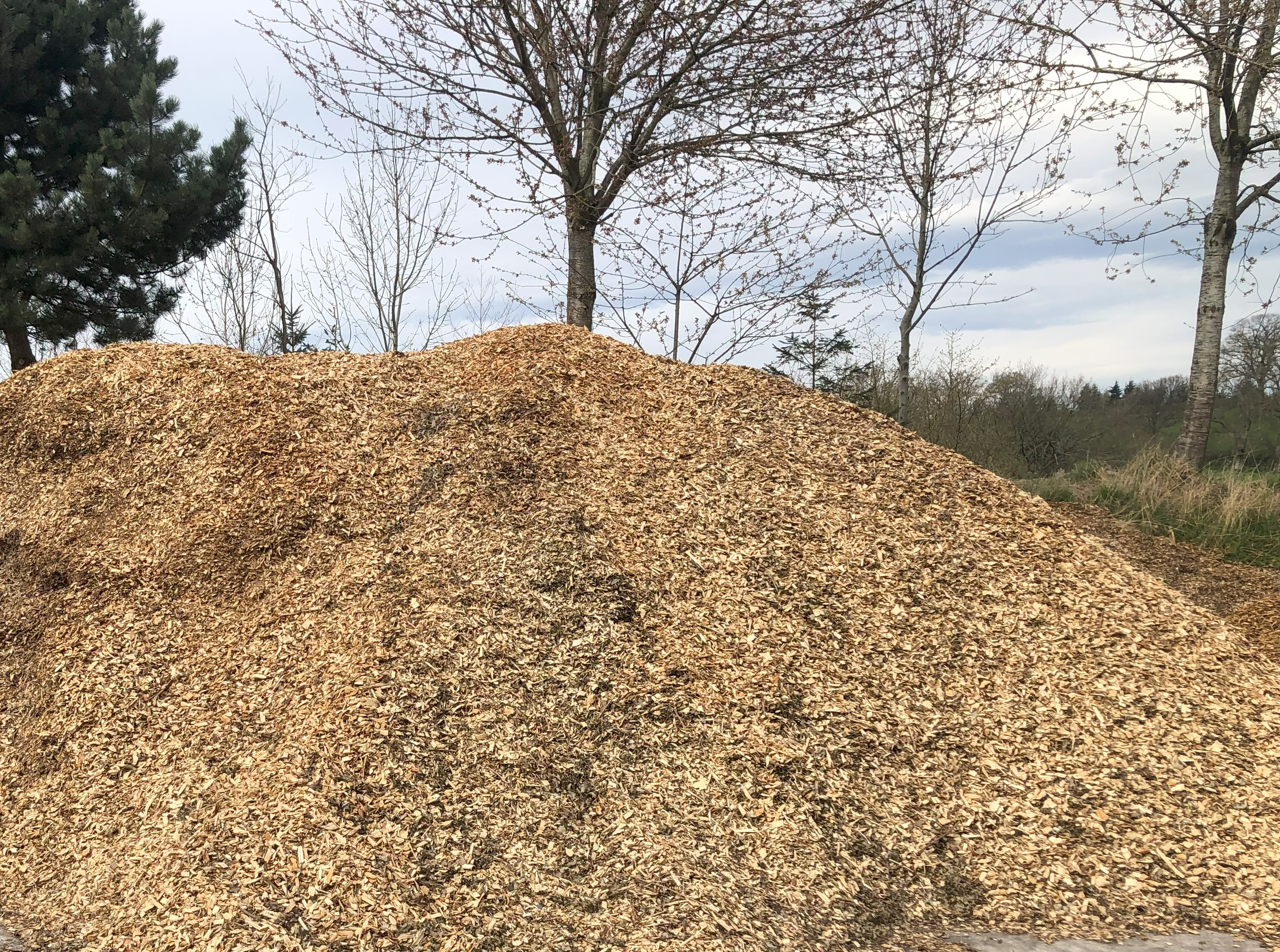 feedstock pile